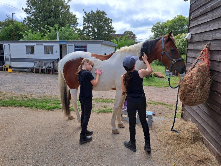 537137847_752296074224637_8441544558018701543_n