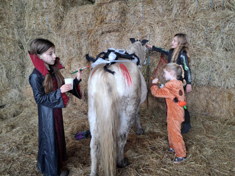 573921320_812110088243235_1097855189751751218_n