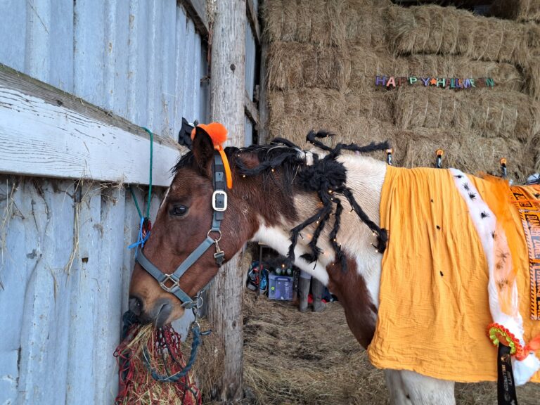 574252771_810937578360486_5304834714537025539_n